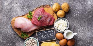 ¿Qué tan importantes son los aminoácidos esenciales en los productos de proteínas?