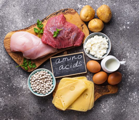 ¿Qué tan importantes son los aminoácidos esenciales en los productos de proteínas?