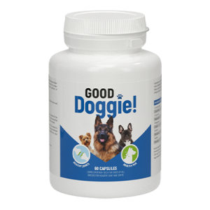 Good Doggie cápsulas - comentarios de usuarios actuales 2020 - ingredientes, cómo tomarlo, como funciona, opiniones, foro, precio, donde comprar, mercadona - España