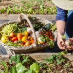 Agro-Organic-donde-comprar-tienda